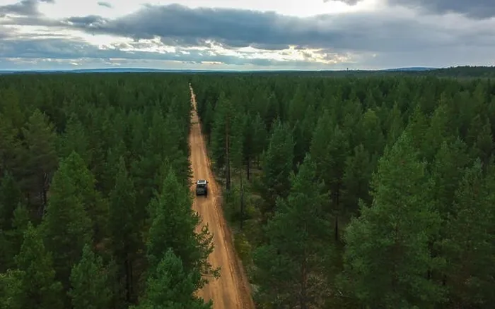 Framed Print : Aerial view of car driving through pine forest Framed Print : Aerial view of car driving through pine forest