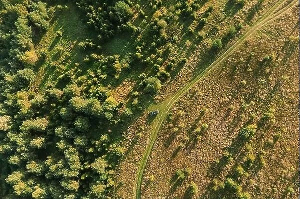Aerial View Of Car Near Country Road Thgrough Forest And Green Meadow Landscape In Sunny Summer Morning. Top View Of Beautiful European Nature From