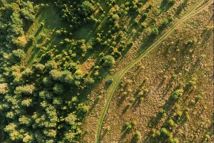 Framed Print : Aerial View Of Car Near Country Road Thgrough Forest And Green Meadow Landscape In Sunny Summer Morning. Top View Of Beautiful European Nature From Framed Print : Aerial View Of Car Near Country Road Thgrough Forest And Green Meadow Landscape In Sunny Summer Morning. Top View Of Beautiful European Nature From