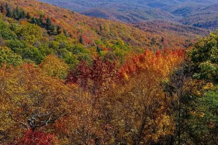 Framed Print : Aerial View Of The Changing Of The Leaves In The North Carolina Mountains