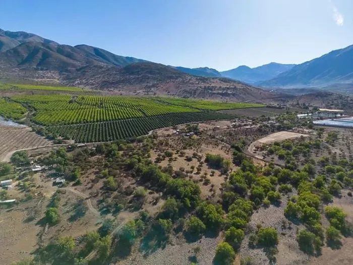 Framed Print : Aerial view of citriculture in Petorca in Chile, South America - plantation of citrus fruits Framed Print : Aerial view of citriculture in Petorca in Chile, South America - plantation of citrus fruits