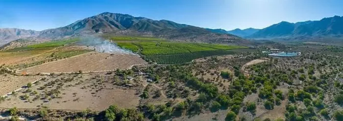 Framed Print : Aerial view of citriculture in Petorca in Chile, South America - plantation of citrus fruits - Panorama Framed Print : Aerial view of citriculture in Petorca in Chile, South America - plantation of citrus fruits - Panorama
