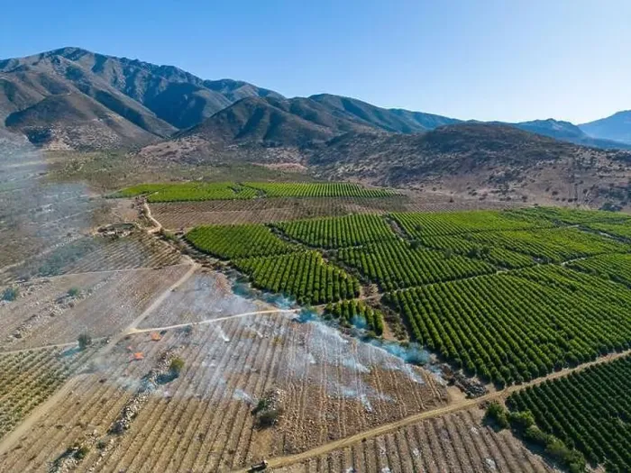 Framed Print : Aerial view of citriculture in Petorca in Chile, South America - plantation of citrus fruits Framed Print : Aerial view of citriculture in Petorca in Chile, South America - plantation of citrus fruits