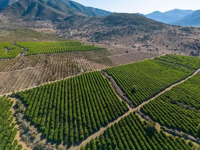 Framed Print : Aerial view of citriculture in Petorca in Chile, South America - plantation of citrus fruits Framed Print : Aerial view of citriculture in Petorca in Chile, South America - plantation of citrus fruits