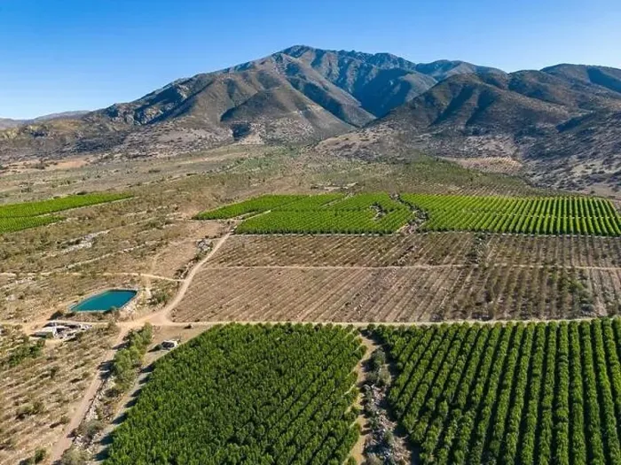 Framed Print : Aerial view of citriculture in Petorca in Chile, South America - plantation of citrus fruits Framed Print : Aerial view of citriculture in Petorca in Chile, South America - plantation of citrus fruits