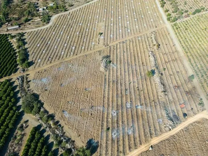Framed Print : Aerial view of citriculture in Petorca in Chile, South America - plantation of citrus fruits Framed Print : Aerial view of citriculture in Petorca in Chile, South America - plantation of citrus fruits