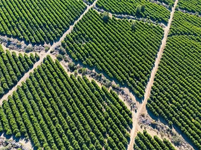 Framed Print : Aerial view of citriculture in Petorca in Chile, South America - plantation of citrus fruits Framed Print : Aerial view of citriculture in Petorca in Chile, South America - plantation of citrus fruits