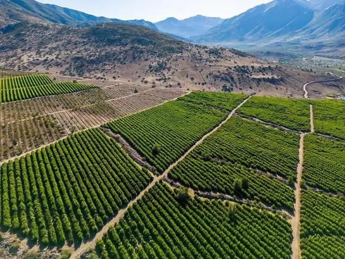 Framed Print : Aerial view of citriculture in Petorca in Chile, South America - plantation of citrus fruits Framed Print : Aerial view of citriculture in Petorca in Chile, South America - plantation of citrus fruits