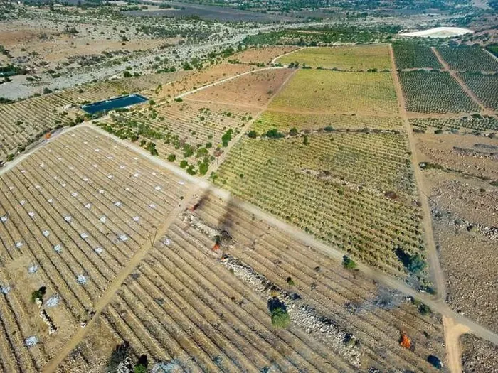 Framed Print : Aerial view of citriculture in Petorca in Chile, South America - plantation of citrus fruits Framed Print : Aerial view of citriculture in Petorca in Chile, South America - plantation of citrus fruits