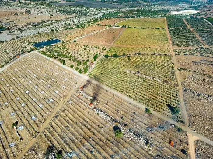 Framed Print : Aerial view of citriculture in Petorca in Chile, South America - plantation of citrus fruits Framed Print : Aerial view of citriculture in Petorca in Chile, South America - plantation of citrus fruits