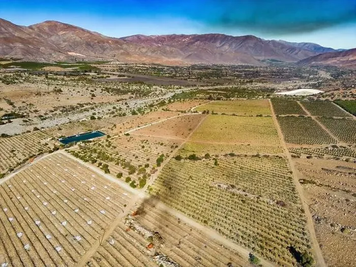 Framed Print : Aerial view of citriculture in Petorca in Chile, South America - plantation of citrus fruits Framed Print : Aerial view of citriculture in Petorca in Chile, South America - plantation of citrus fruits