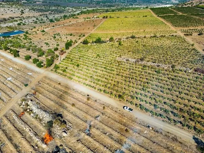 Framed Print : Aerial view of citriculture in Petorca in Chile, South America - plantation of citrus fruits Framed Print : Aerial view of citriculture in Petorca in Chile, South America - plantation of citrus fruits
