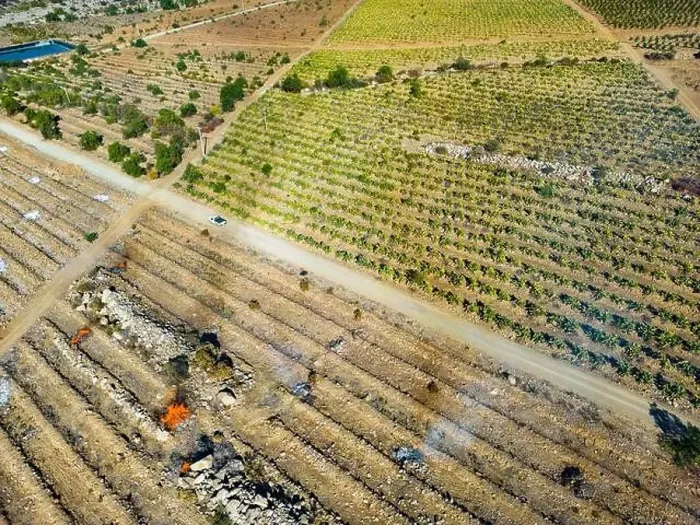 Framed Print : Aerial view of citriculture in Petorca in Chile, South America - plantation of citrus fruits Framed Print : Aerial view of citriculture in Petorca in Chile, South America - plantation of citrus fruits