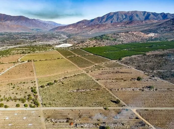 Framed Print : Aerial view of citriculture in Petorca in Chile, South America - plantation of citrus fruits Framed Print : Aerial view of citriculture in Petorca in Chile, South America - plantation of citrus fruits