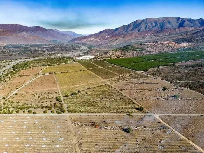 Framed Print : Aerial view of citriculture in Petorca in Chile, South America - plantation of citrus fruits Framed Print : Aerial view of citriculture in Petorca in Chile, South America - plantation of citrus fruits