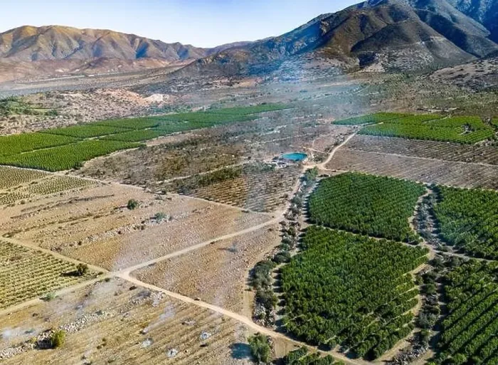Framed Print : Aerial view of citriculture in Petorca in Chile, South America - plantation of citrus fruits Framed Print : Aerial view of citriculture in Petorca in Chile, South America - plantation of citrus fruits