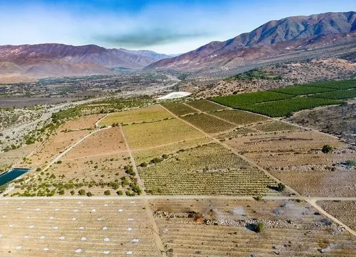 Framed Print : Aerial view of citriculture in Petorca in Chile, South America - plantation of citrus fruits Framed Print : Aerial view of citriculture in Petorca in Chile, South America - plantation of citrus fruits