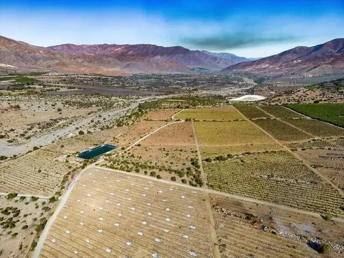 Framed Print : Aerial view of citriculture in Petorca in Chile, South America - plantation of citrus fruits Framed Print : Aerial view of citriculture in Petorca in Chile, South America - plantation of citrus fruits