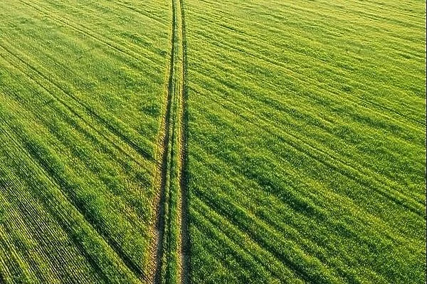 Aerial view of country road through green field rural landscape in summer. Top view of countryside road in summer field rural landscape from high