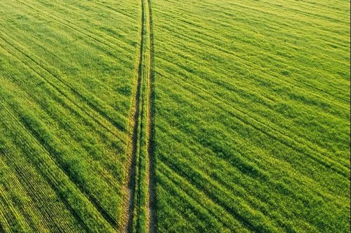 Framed Print : Aerial view of country road through green field rural landscape in summer. Top view of countryside road in summer field rural landscape from high Framed Print : Aerial view of country road through green field rural landscape in summer. Top view of countryside road in summer field rural landscape from high