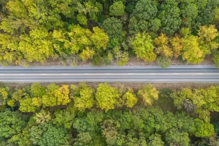 Framed Print : Aerial view from above of country road through the green summer forest in Autumn Framed Print : Aerial view from above of country road through the green summer forest in Autumn