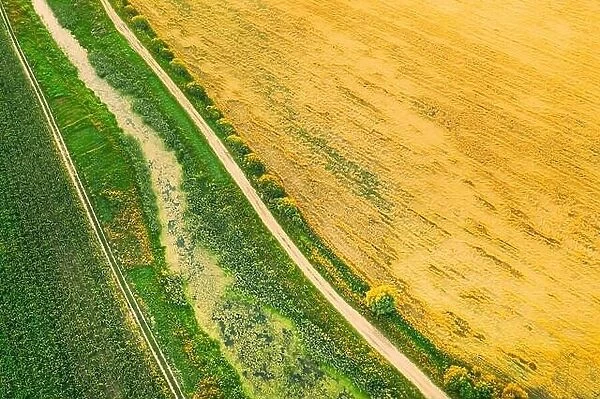 Aerial View Of Countryside Road Through Summer Rural Field. Road Between Corn Maize Plantation And Young Wheat Landscape