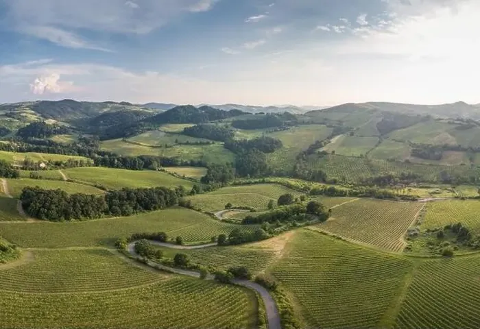 Framed Print : Aerial view of countryside with vineyards hills and woods in Oltrepo Pavese with road bends Framed Print : Aerial view of countryside with vineyards hills and woods in Oltrepo Pavese with road bends