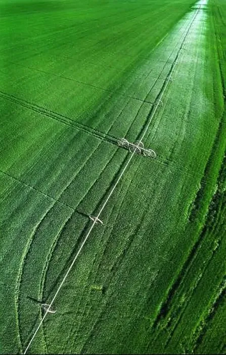 Framed Print : Aerial view from a drone flying above a green farm field growing crops growth with irrigation pivot sprinklers Framed Print : Aerial view from a drone flying above a green farm field growing crops growth with irrigation pivot sprinklers