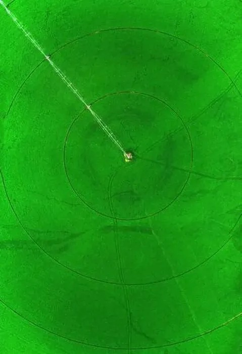 Framed Print : Aerial view from a drone flying above a green farm field growing crops growth with irrigation pivot sprinklers Framed Print : Aerial view from a drone flying above a green farm field growing crops growth with irrigation pivot sprinklers