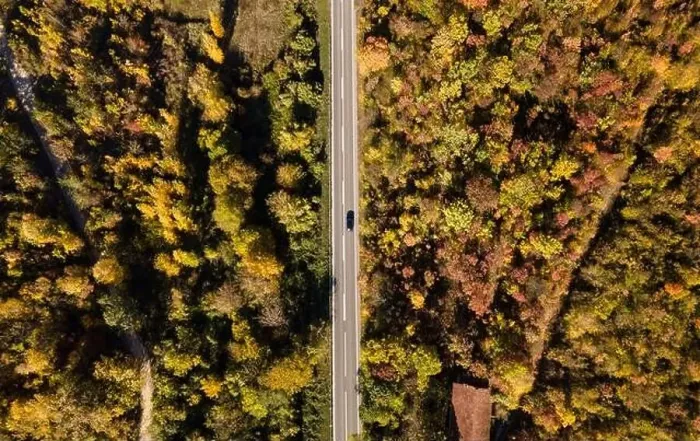 Framed Print : Top down aerial view drone image on the road trough the trees Framed Print : Top down aerial view drone image on the road trough the trees