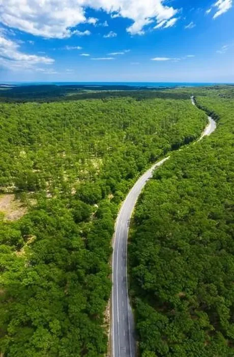 Framed Print : Aerial view of drone to road through green forest Framed Print : Aerial view of drone to road through green forest