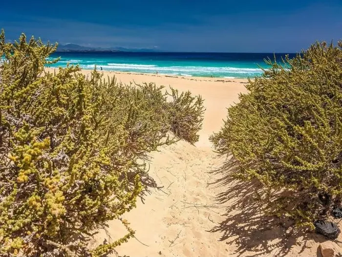 Framed Print : Aerial view of Dunas de Corralejo beach in Fuerteventura, Canary Island, Spain Framed Print : Aerial view of Dunas de Corralejo beach in Fuerteventura, Canary Island, Spain