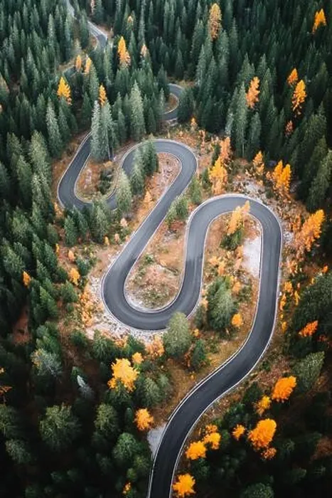 Framed Print : Top aerial view of famous Snake road near Passo Giau in Dolomite Alps. Winding mountains road in lush forest with orange larch trees Framed Print : Top aerial view of famous Snake road near Passo Giau in Dolomite Alps. Winding mountains road in lush forest with orange larch trees