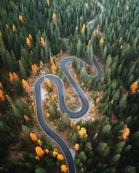 Framed Print : Top aerial view of famous Snake road near Passo Giau in Dolomite Alps. Winding mountains road in lush forest with orange larch trees Framed Print : Top aerial view of famous Snake road near Passo Giau in Dolomite Alps. Winding mountains road in lush forest with orange larch trees