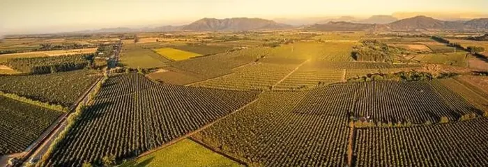 Framed Print : Aerial view of field growing tobacco in Chile. Top view from drone. Baner Framed Print : Aerial view of field growing tobacco in Chile. Top view from drone. Baner