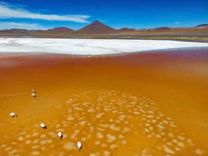 Framed Print : Aerial view of flamingos in the colorful Laguna Colorada in the remote Fauna Andina Eduardo Avaroa National Reserve in Framed Print : Aerial view of flamingos in the colorful Laguna Colorada in the remote Fauna Andina Eduardo Avaroa National Reserve in
