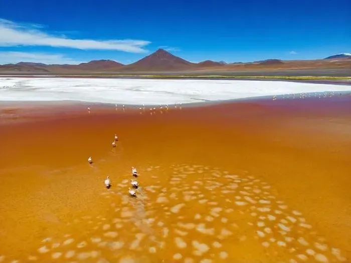 Framed Print : Aerial view of flamingos in the colorful Laguna Colorada in the remote Fauna Andina Eduardo Avaroa National Reserve in Framed Print : Aerial view of flamingos in the colorful Laguna Colorada in the remote Fauna Andina Eduardo Avaroa National Reserve in