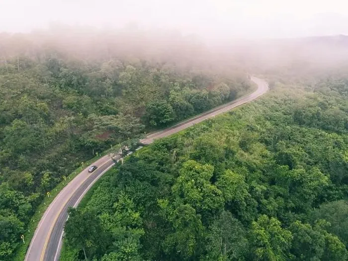 Framed Print : Aerial view foggy road forest tree environment nature background Framed Print : Aerial view foggy road forest tree environment nature background