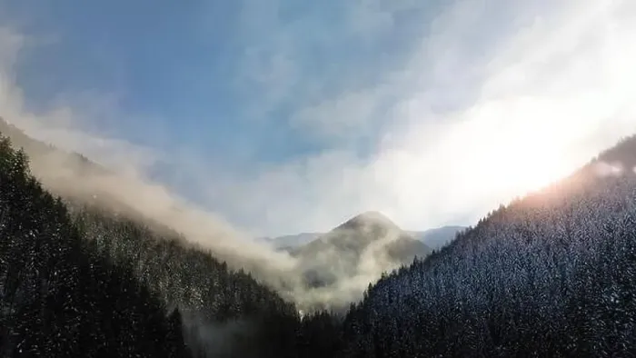 Framed Print : Aerial view of foggy winter forest and sunrise in Low Tatras mountains of Slovakia Framed Print : Aerial view of foggy winter forest and sunrise in Low Tatras mountains of Slovakia