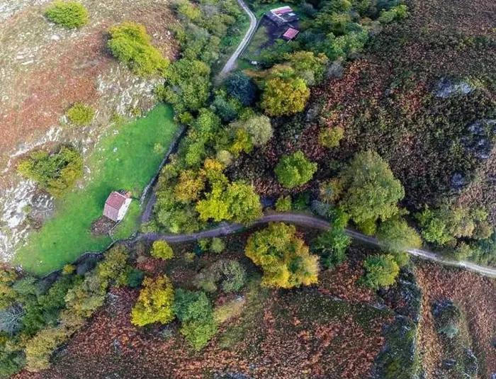 Framed Print : Aerial view forest in autumn on the path of Las Foces del Raigosu in the Asturian council of Laviana, Spain Framed Print : Aerial view forest in autumn on the path of Las Foces del Raigosu in the Asturian council of Laviana, Spain