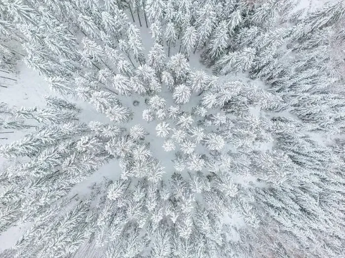 Framed Print : aerial view of forest covered with snow, bird's eye view Framed Print : aerial view of forest covered with snow, bird's eye view
