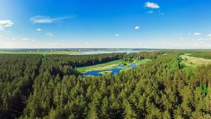 Framed Print : Aerial view of forest lake Framed Print : Aerial view of forest lake