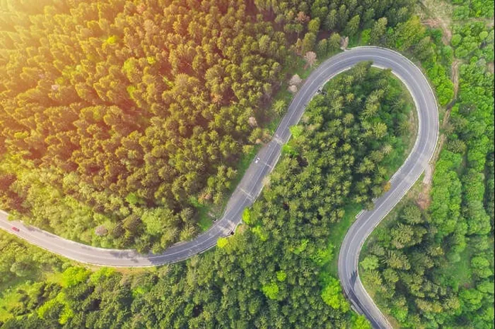 Framed Print : Aerial view of a forest road passing through a fir trees forest