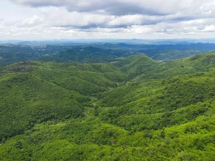 Framed Print : Aerial view forest trees background jungle nature green tree on the mountain top view Framed Print : Aerial view forest trees background jungle nature green tree on the mountain top view
