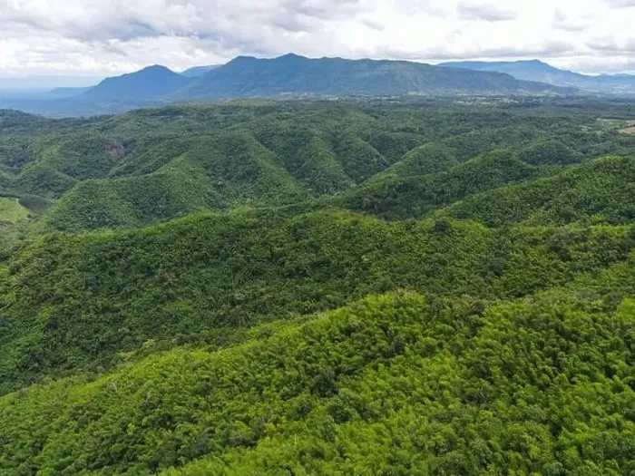 Framed Print : Aerial view forest trees background jungle nature green tree on the mountain top view Framed Print : Aerial view forest trees background jungle nature green tree on the mountain top view