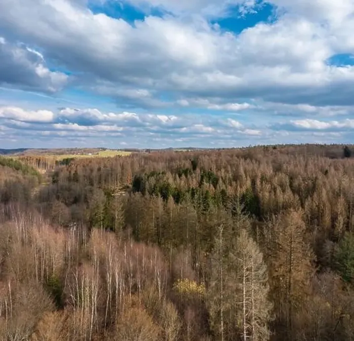 Framed Print : Aerial view over forests and meadows of Westerwald, Altenkirchen, Germany Framed Print : Aerial view over forests and meadows of Westerwald, Altenkirchen, Germany