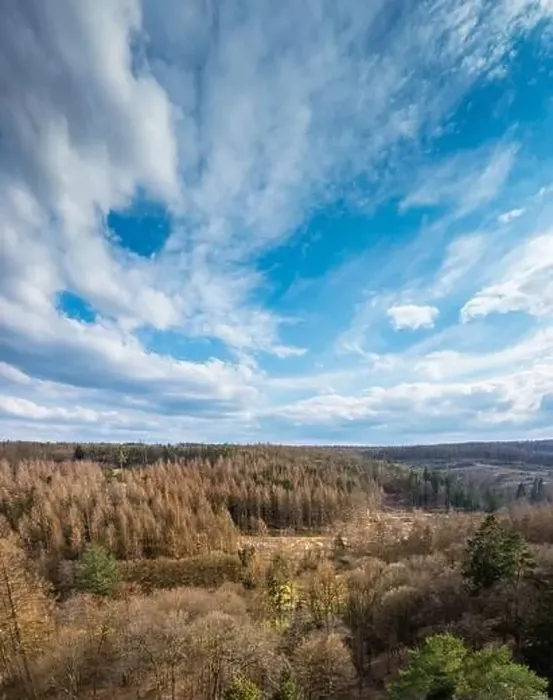 Framed Print : Aerial view over forests and meadows of Westerwald, Altenkirchen, Germany Framed Print : Aerial view over forests and meadows of Westerwald, Altenkirchen, Germany