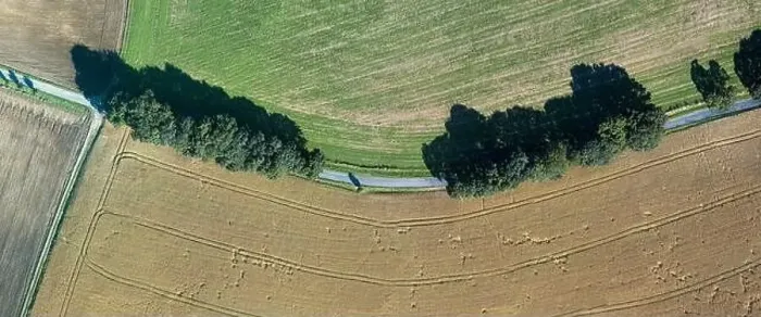 Framed Print : Aerial view of a green agricultural field with a rural road passing through it. Summer time, sunny day in landscape Framed Print : Aerial view of a green agricultural field with a rural road passing through it. Summer time, sunny day in landscape