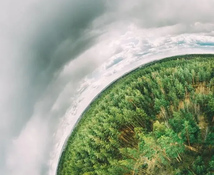 Framed Print : Aerial View Green Coniferous Forest Pines Woods Landscape In Spring Day Framed Print : Aerial View Green Coniferous Forest Pines Woods Landscape In Spring Day