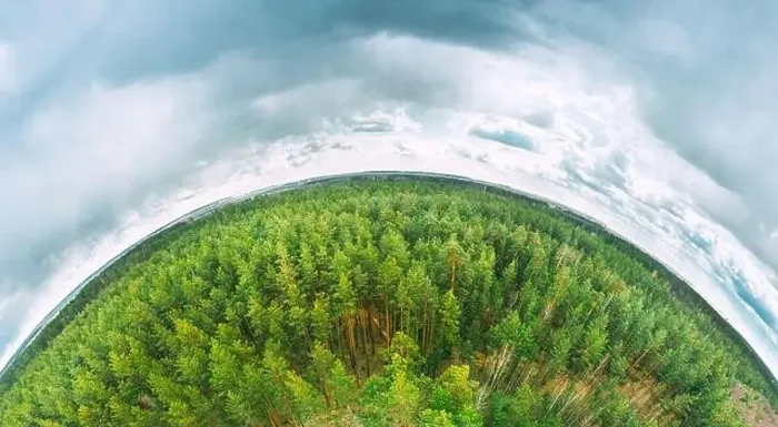 Framed Print : Aerial View Green Coniferous Forest Pines Woods Landscape In Spring Day Framed Print : Aerial View Green Coniferous Forest Pines Woods Landscape In Spring Day